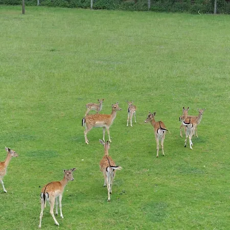 Mutter-bahr Otel Ibbenbüren