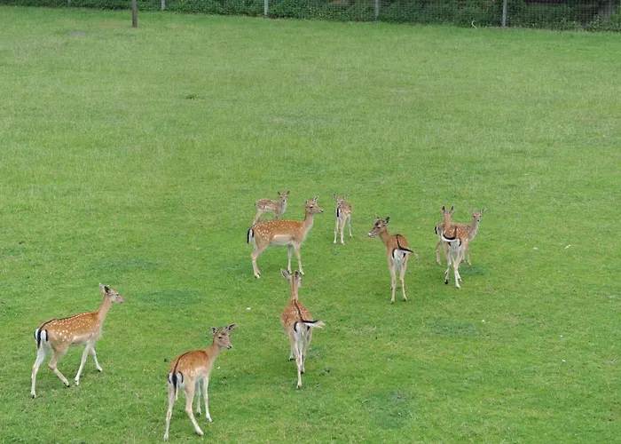 Mutter-bahr Otel Ibbenbüren